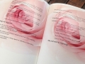 pink rose book