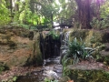 Waneroo Botanical Gardens 2 (640x480)